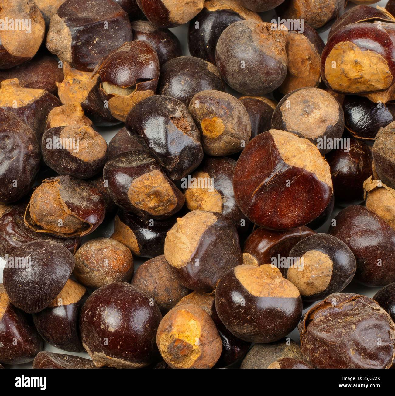 Lebendige Guarana-Samen, die für die Hintergrundstruktur angeordnet sind, erfassen komplizierte Details und Erdtöne, die Energie und Vitalität ausstrahlen Stockfoto