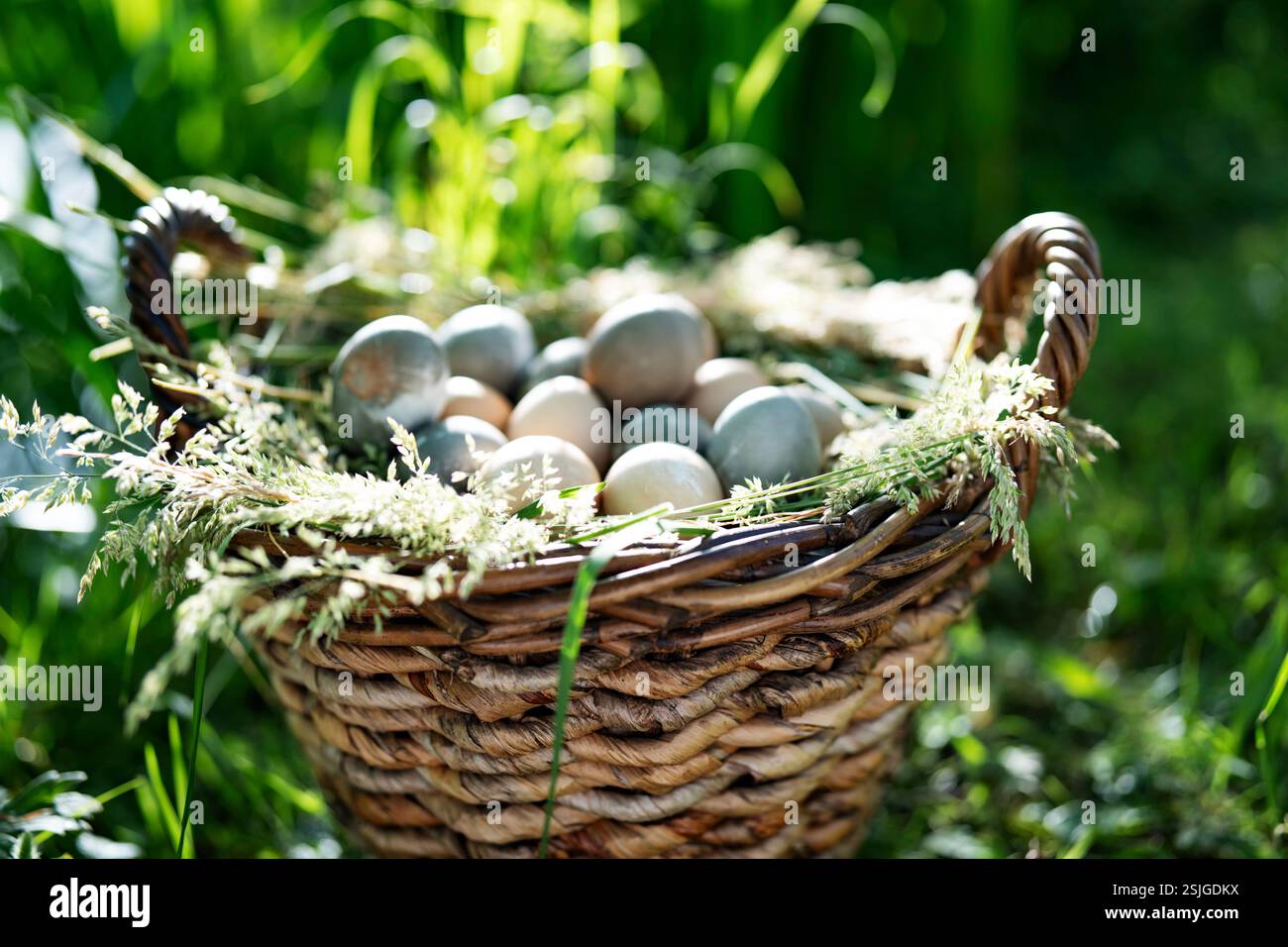 Korb gefüllt mit vielen farbigen ostereiern. Sonniger Tag in grüner Landschaft. Osterstillleben. Stockfoto
