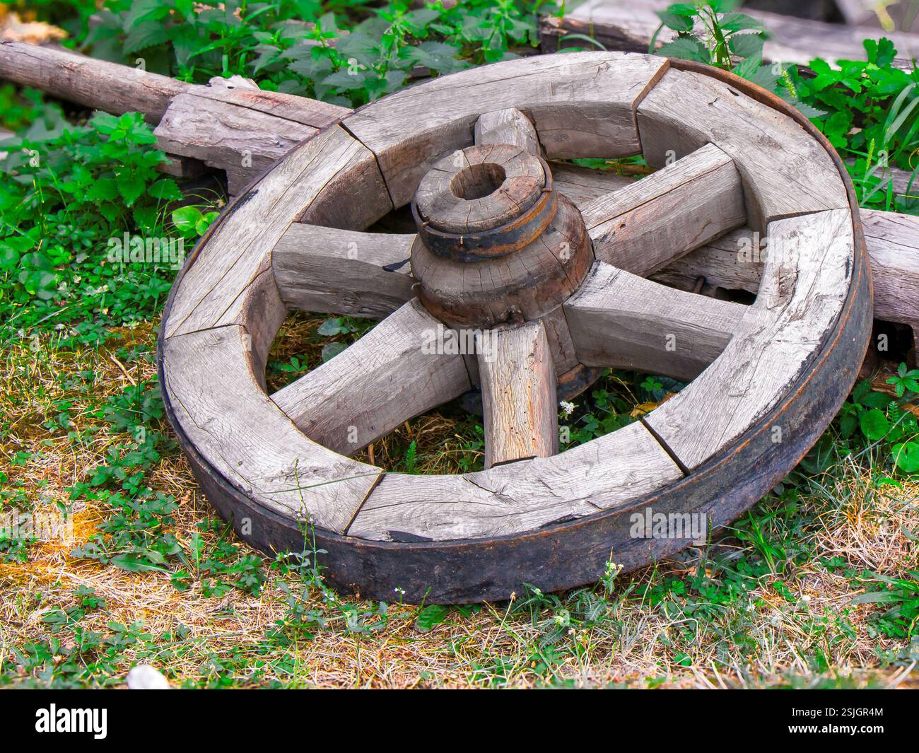 Ein altes Holzrad liegt auf dem Boden, umgeben von üppigem Grün. Die verwitterte Textur und die alte Handwerkskunst spiegeln einen rustikalen Charme wider Stockfoto