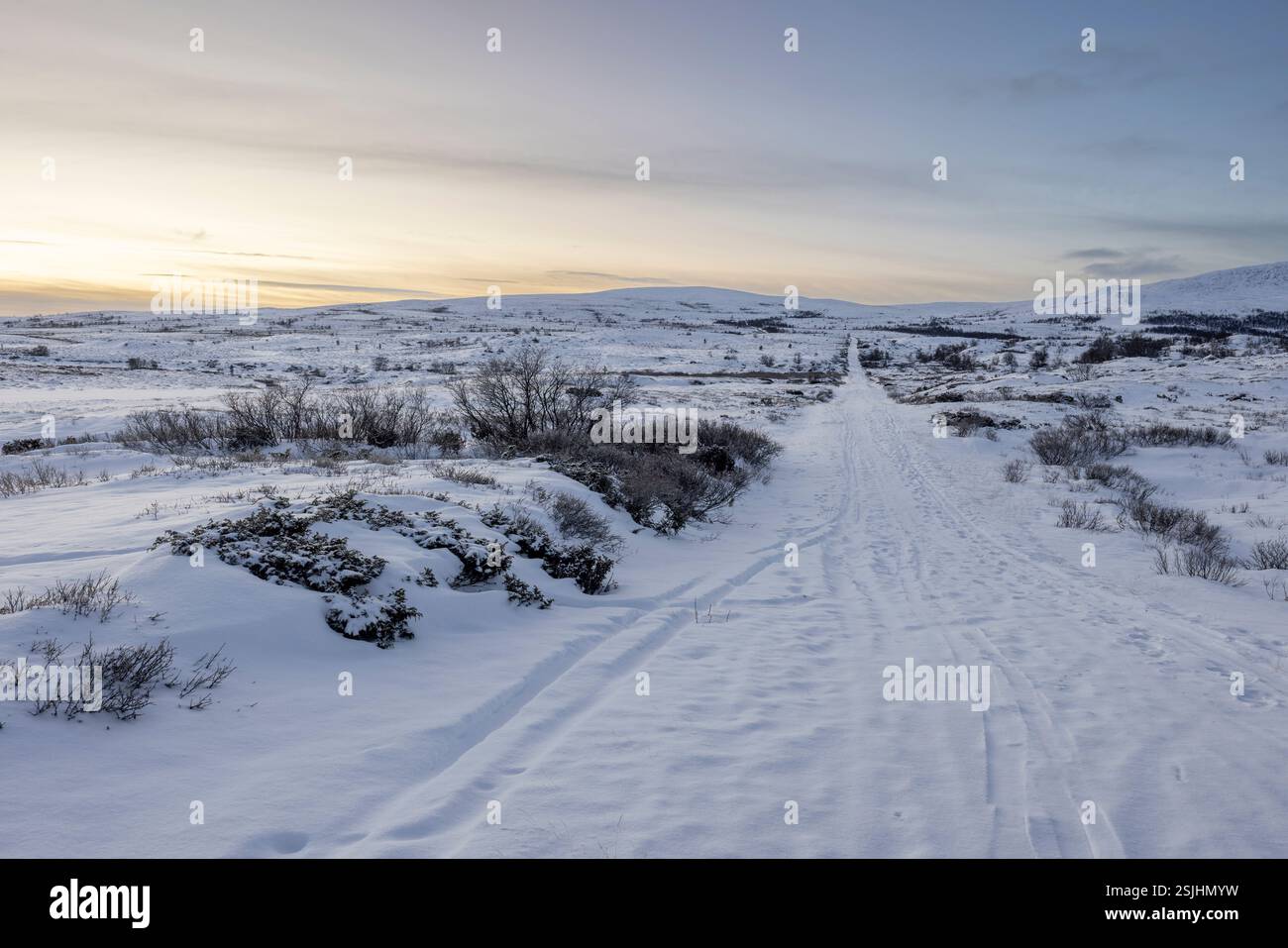 Die Kongevegen (Königsstraße) im schneebedeckten Dovrefjell in Norwegen bei Sonnenaufgang Stockfoto