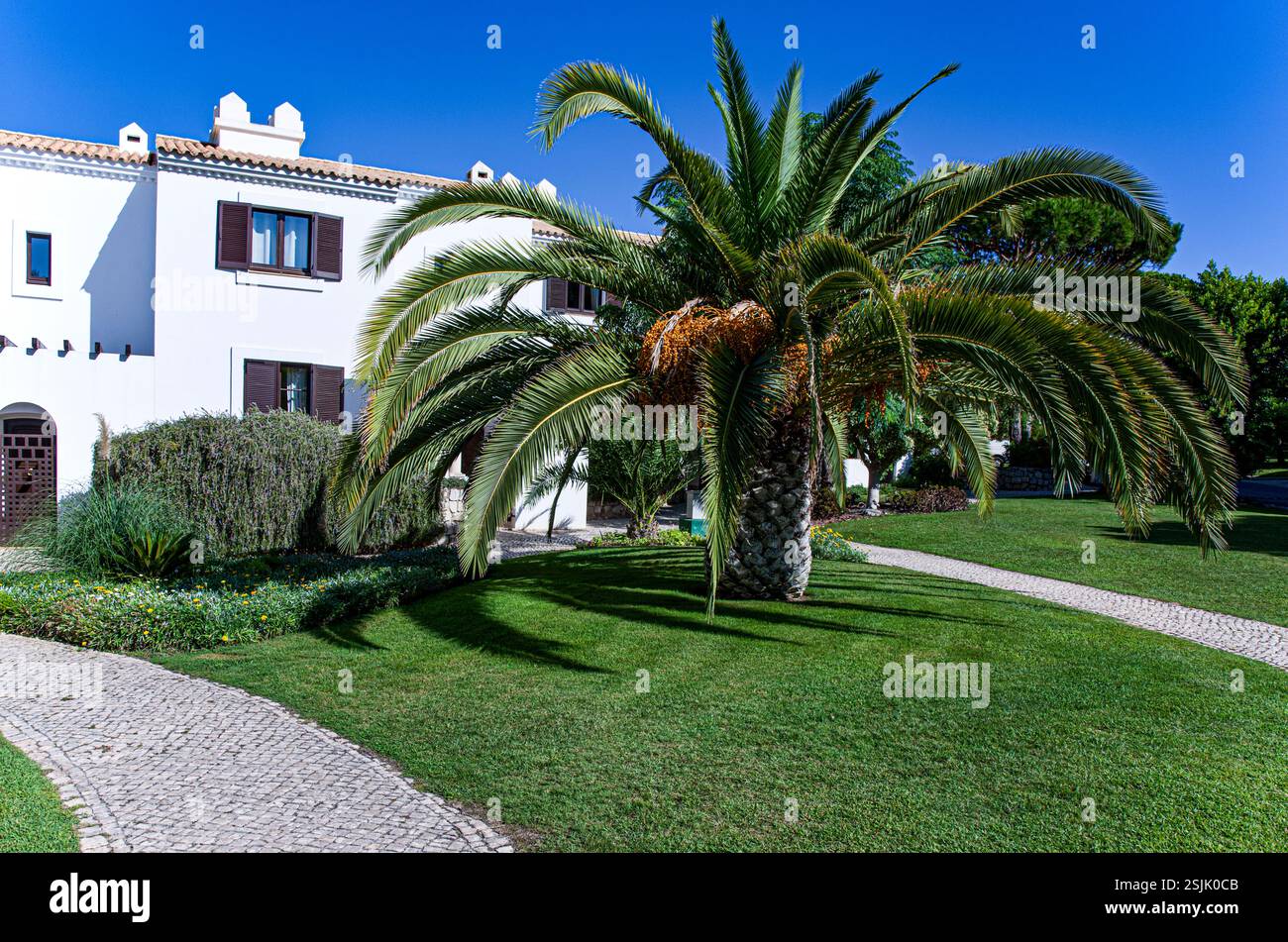 Portugal, Algarve, Albufeira, das Kiefer Clifts Resort Stockfoto