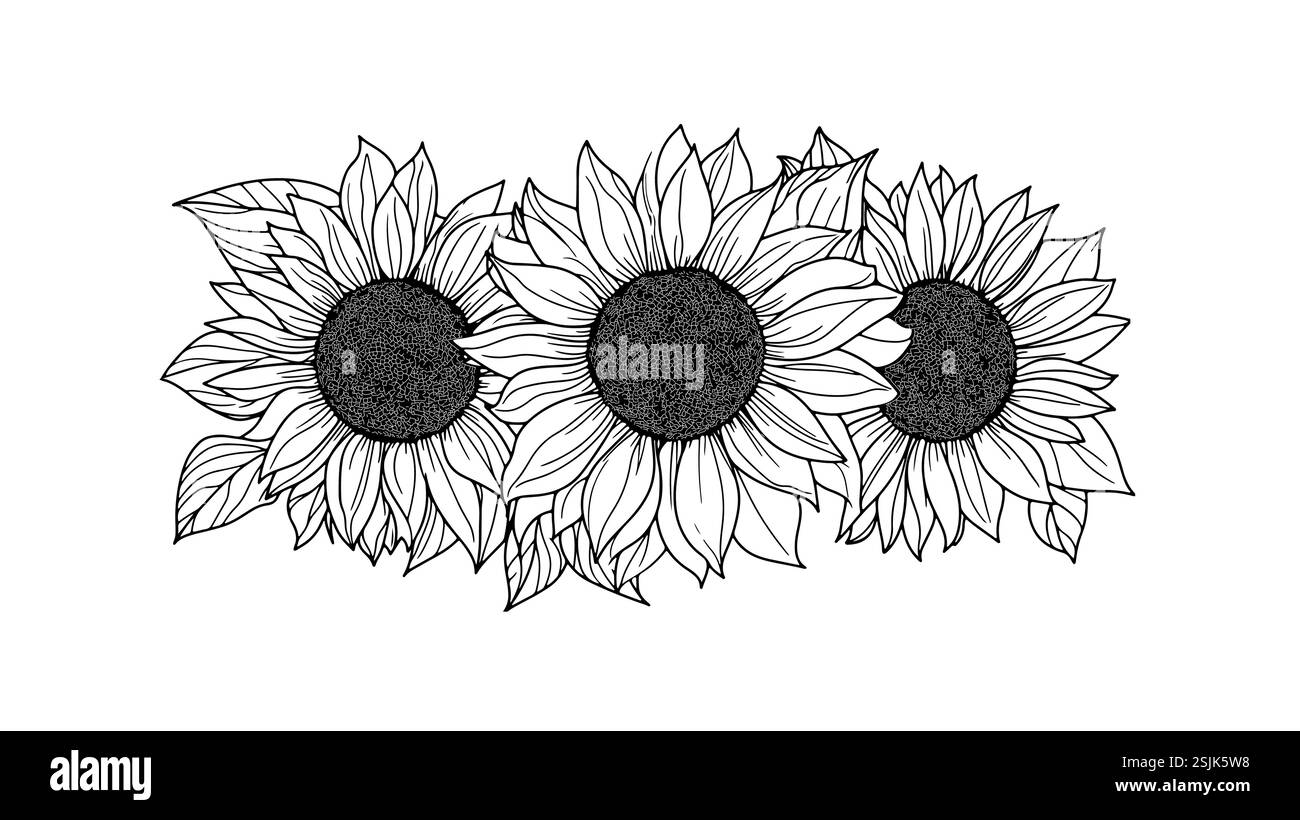 Sonnenblume umreißt Illustration. Drei Blumen mit Blättern. Dekorationsdrucke mit Branding-Design. Schwarzer Umriss weißer Hintergrund minimaler Stil. Stock Vektor