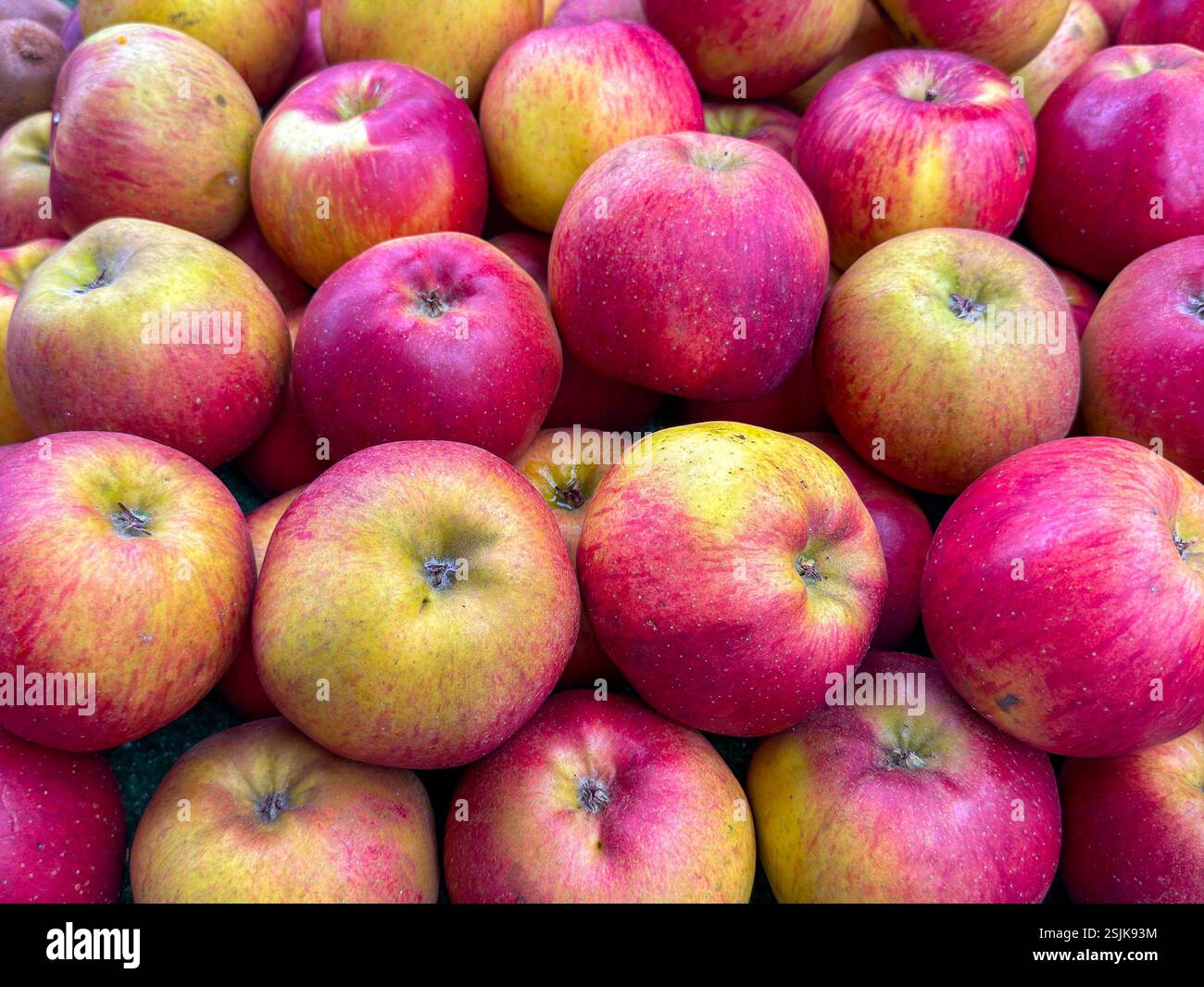 Nahaufnahme großer frischer Äpfel - Smartphone-aufgenommenes Stockfoto
