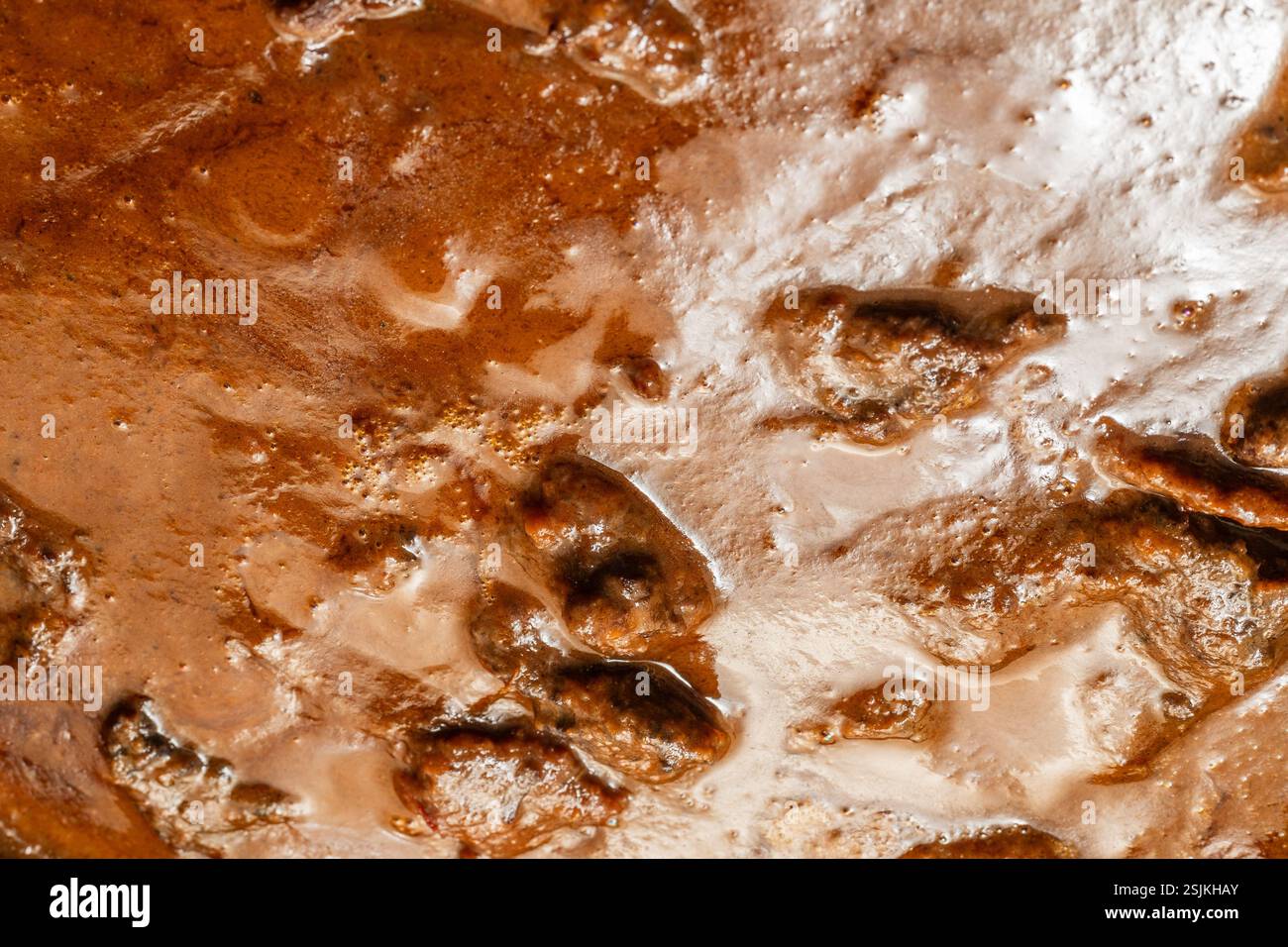 Eine Nahaufnahme von Rinderwangen, gebraten in Wein-Rosmarin und Gemüsesoße Stockfoto