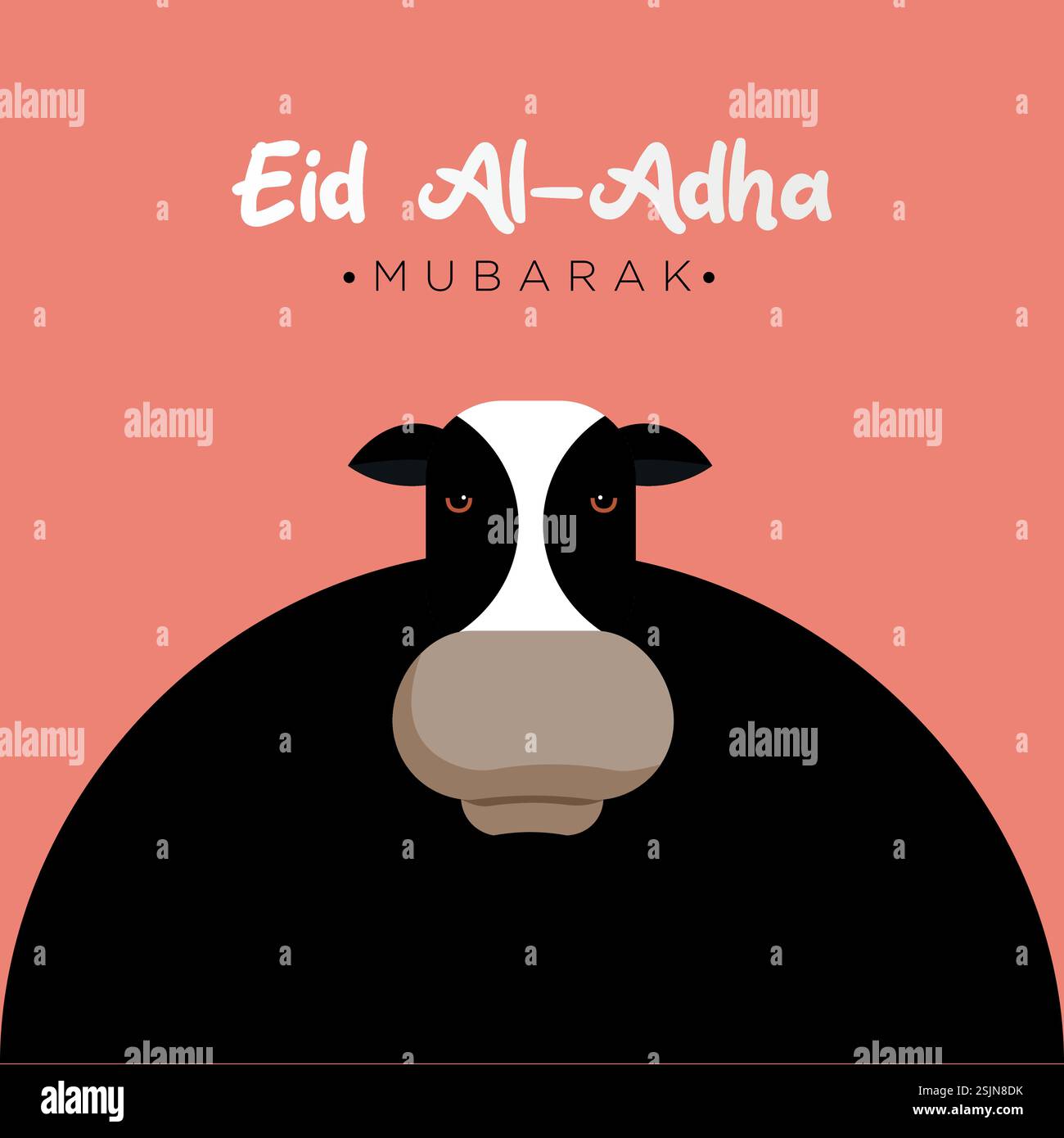 Eine schwarze Kuh mit einem weißen Gesicht und eine schwarze Kuh mit einem weißen Gesicht und Text, auf dem steht eid al adha Stock Vektor