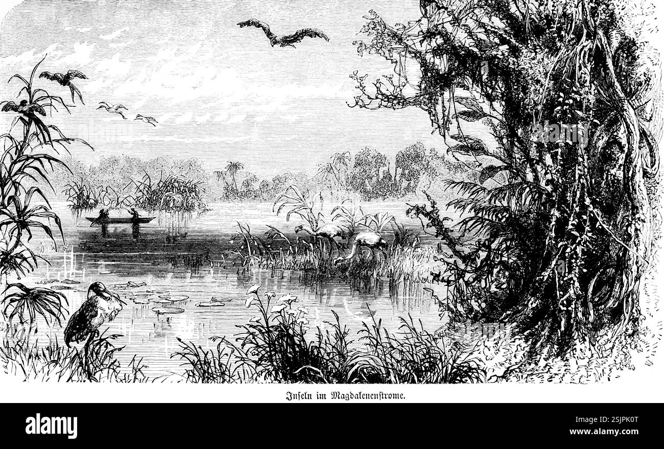 Flusslandschaft mit kleinen Inseln im kolumbianischen Rio Magdalena, Flussinseln, tropische Vegetation, Vögel, Ruderboot, reisen, Kolumbien, Hist Stockfoto