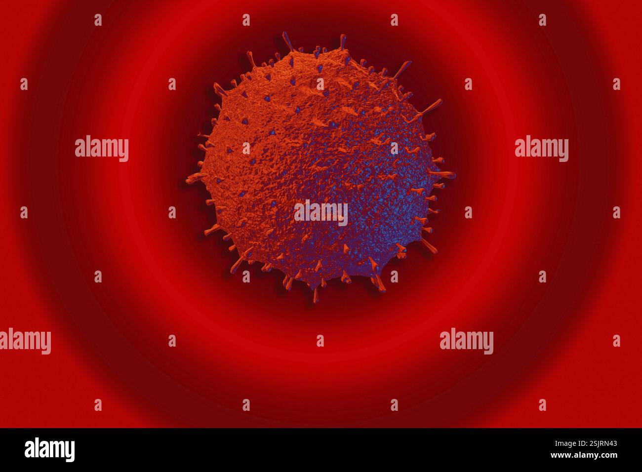 Covid-19-Neuartige Coronavirus-Bakterien. Keine Infektion und Anti-Coronavirus-Konzepte Stockfoto