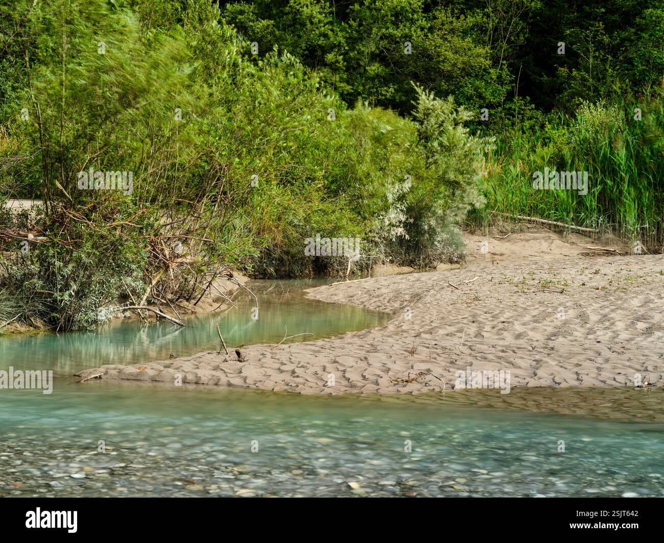 Lechblick bei Pinswang im Tiroler Lechtal, Tirol, Österreich Stockfoto