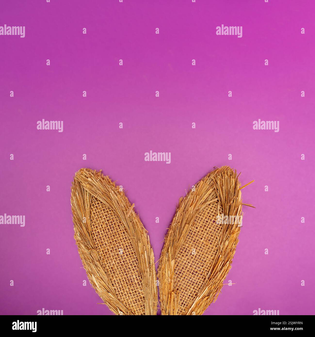 Kaninchenohren aus natürlichem Pflanzenmaterial auf pastelllila Hintergrund. Ostern Minimal Konzept. Flache Lagen. Stockfoto