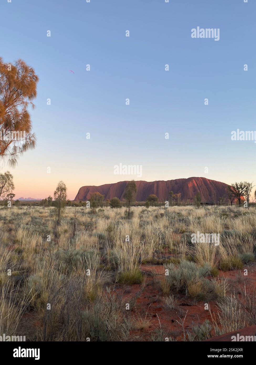 Uluru, NT, Australien - Smartphone-aufgenommenes Stockfoto
