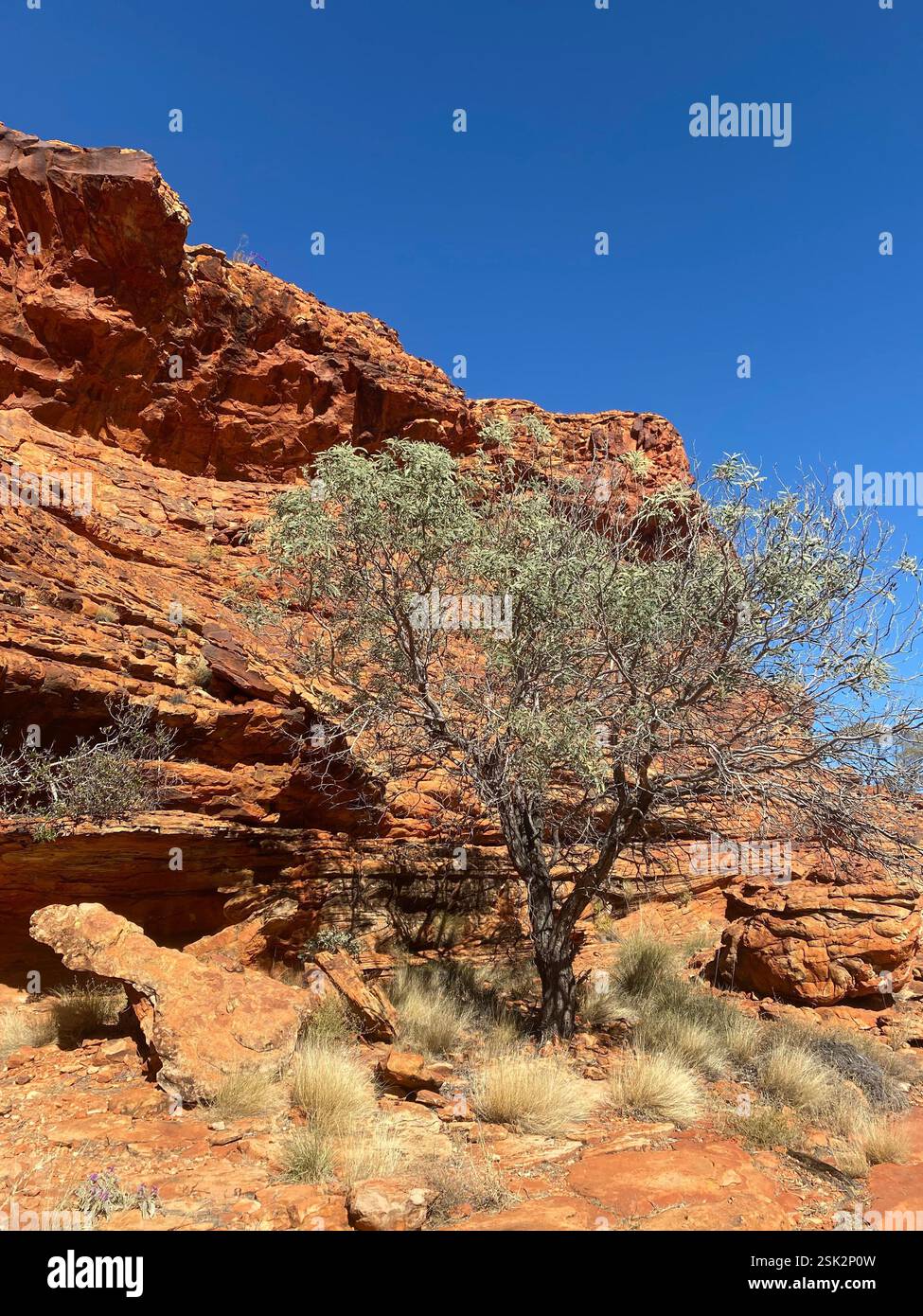Uluru, NT, Australien - Smartphone-aufgenommenes Stockfoto