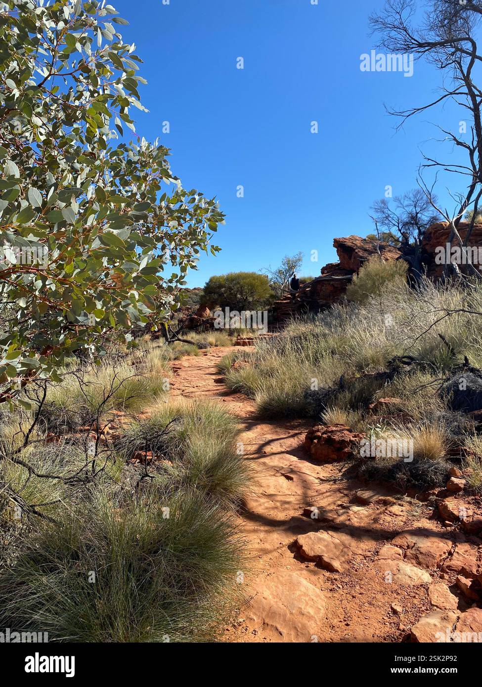Uluru, NT, Australien - Smartphone-aufgenommenes Stockfoto