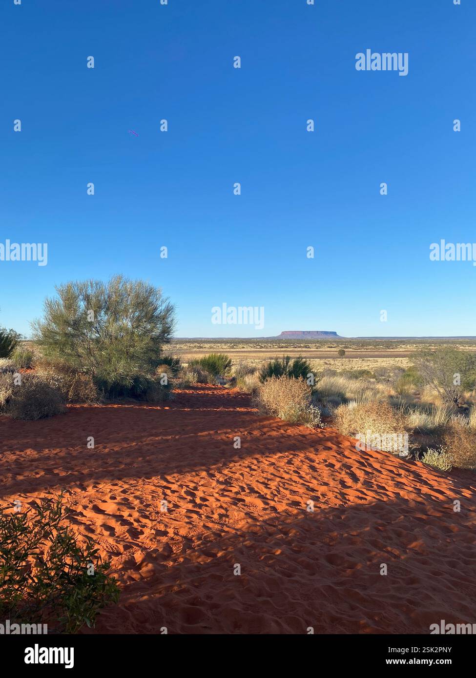 Uluru, NT, Australien - Smartphone-aufgenommenes Stockfoto