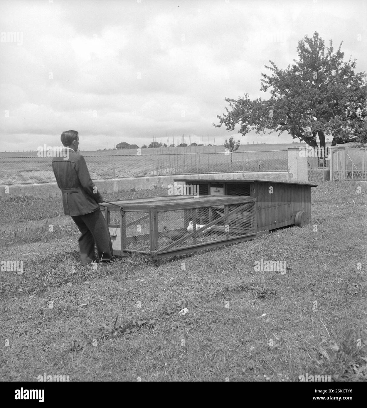 MOBILER Hühnerstall mit Freigehege--- Schweizerische Geflügelzuchtschule, Zollikofen 1945#Schweizerische Geflügelzuchtschule, Zollikofen 1945- RDB VON DUKAS Stockfoto