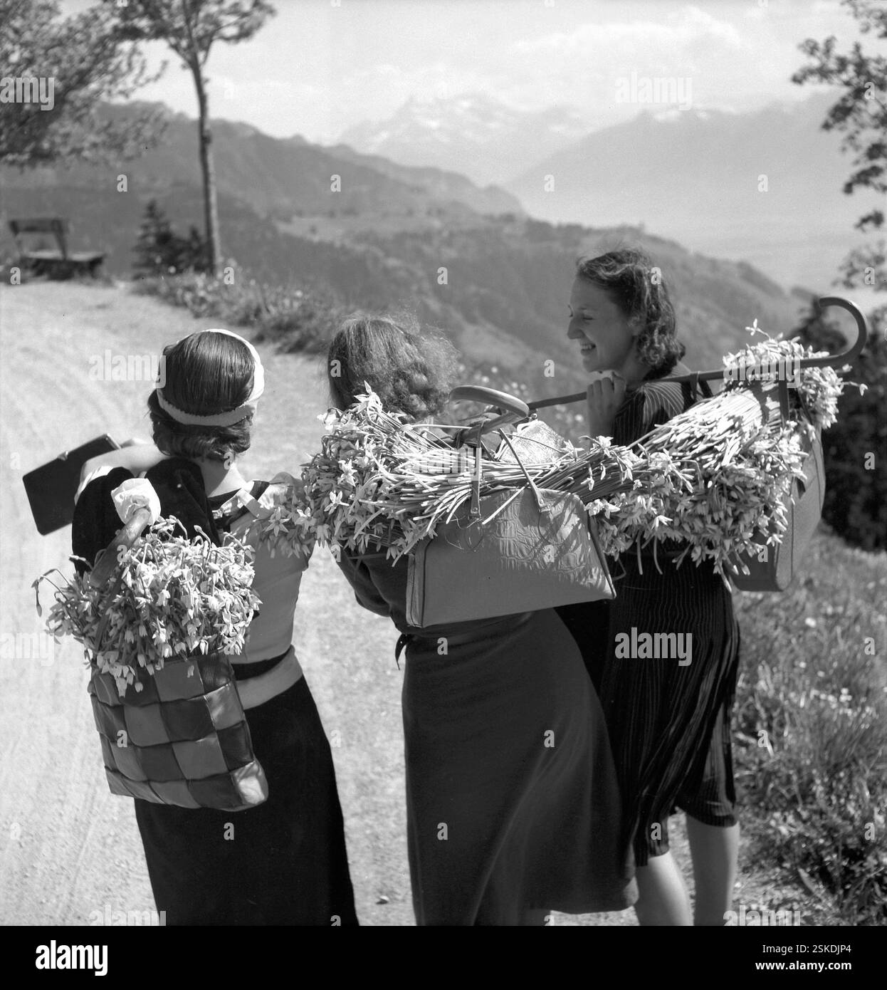 --- Junge Frauen mit Montreux-Narzissen in Les Avants, um 1955#Junge Frauen mit Montreux-Narzissen in Les Avants, um 1955- RDB VON DUKAS Stockfoto