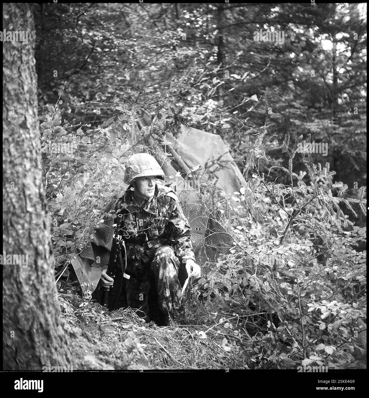--- Wiederholungskurs des 2. Armeekorps, 1963; Tarnung#Refresher Course of 2nd Army Corps, 1963; Tarnung-RDB VON DUKAS Stockfoto