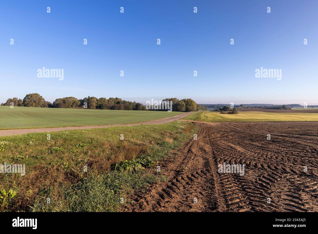 Spuren von rauer Lauffläche von Automobilrädern auf dem gepflügten Boden des Feldes, Spuren von Zugmaschinen und anderen landwirtschaftlichen Maschinen auf dem Boden im Boden Stockfoto