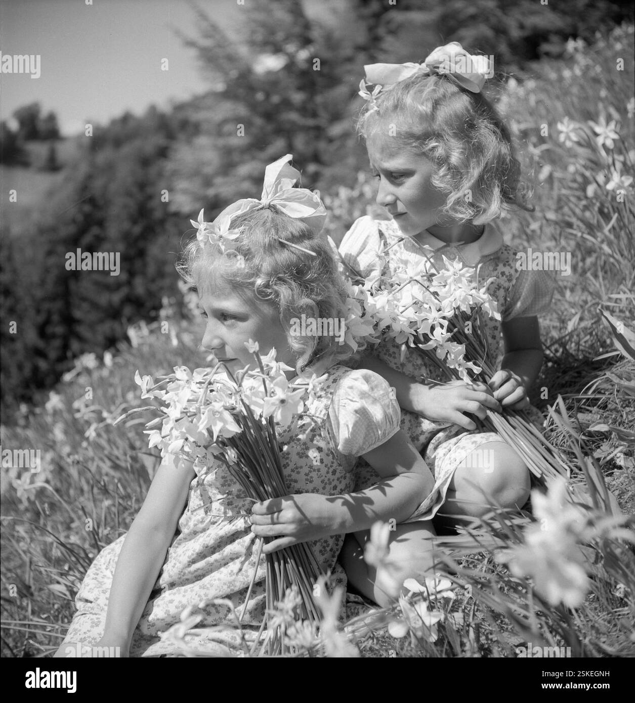 Zwei Mädchen mit Montreux-Narzissen in Les Avants, um 1955 #zwei Mädchen mit Montreux-Narzissen in Les Avants, um 1955 - RDB VON DUKAS Stockfoto
