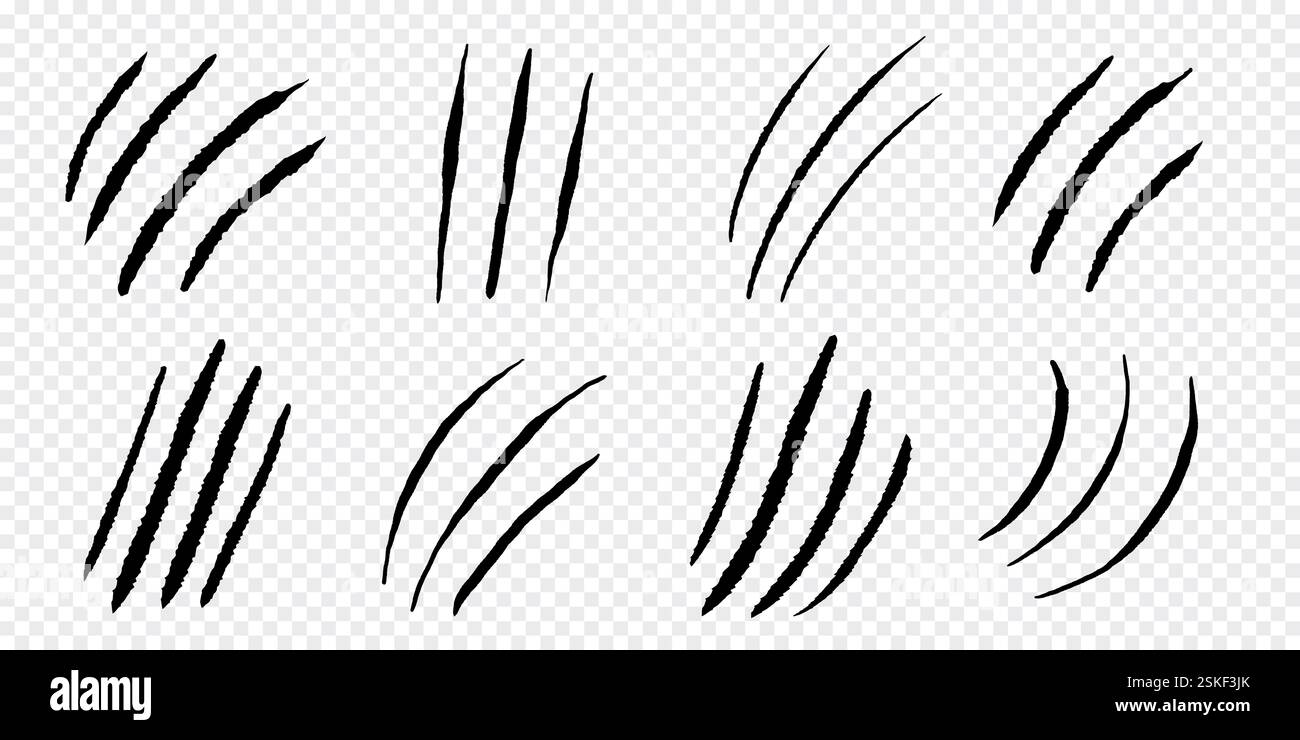 Krallenmarkierungen Kratzer Silhouette, Katze oder wildes Tier kratzen Spur Kratzer Pfotenform isoliert auf weißem Hintergrund. Nägel zeichnen Textur mit abgerissener Kante auf. Vektorabbildung Stock Vektor