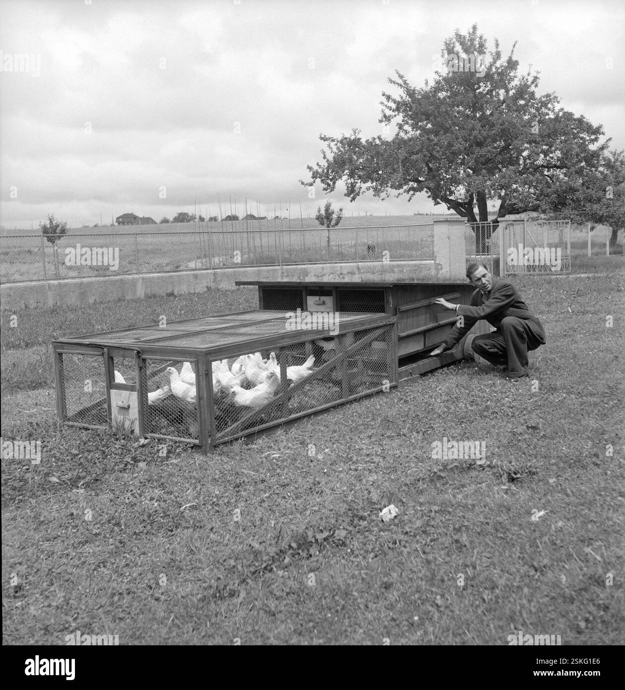 MOBILER Hühnerstall mit Freigehege--- Schweizerische Geflügelzuchtschule, Zollikofen 1945#Schweizerische Geflügelzuchtschule, Zollikofen 1945- RDB VON DUKAS Stockfoto