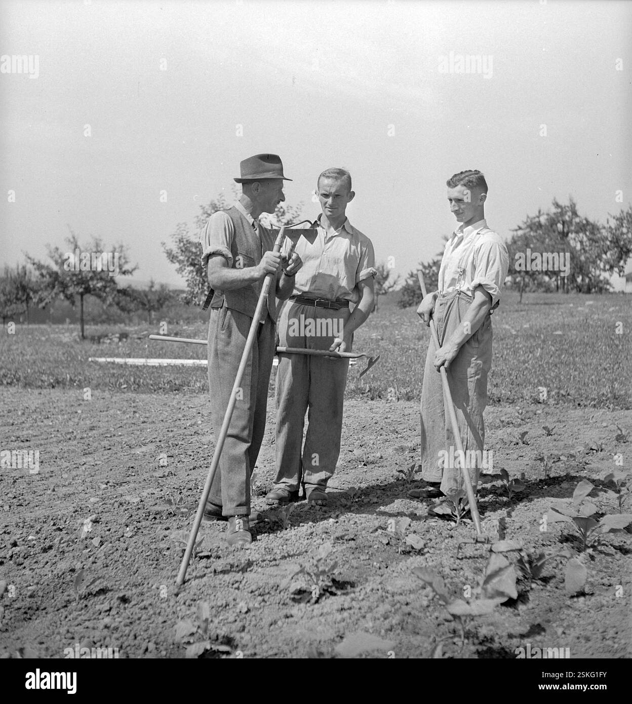 Ackerarbeit; Landwirtschaftsschule; Bildungszentrum;--- Bauernprüfungen auf dem Wallierhof, Riedholz 1945#Bauernprüfung am Wallierhof, Riedholz 1945- RDB VON DUKAS Stockfoto
