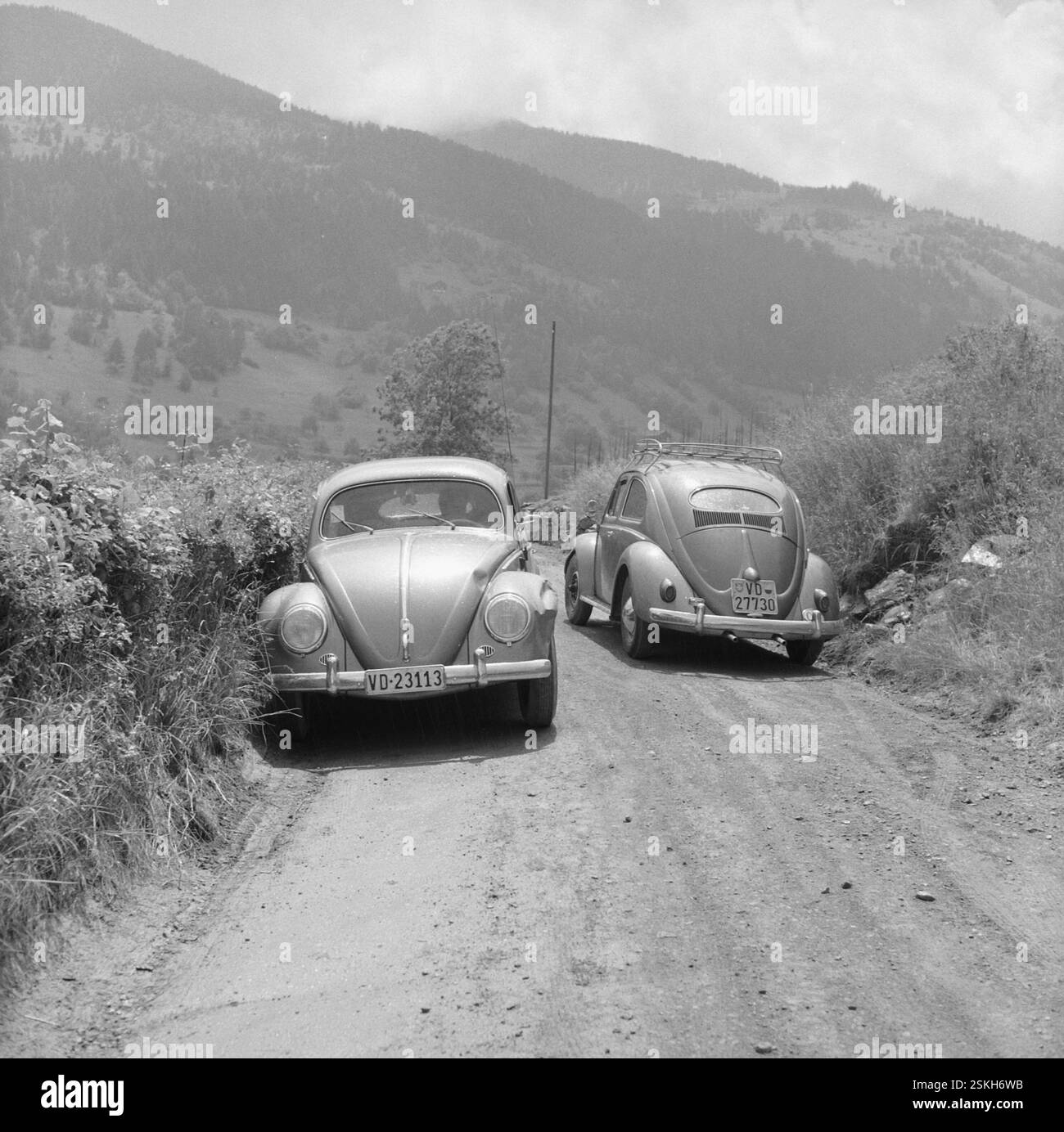 --- zwei Autos nach einem leichten Zusammenprall auf einer Landstraße 1958 #zwei leicht beschädigte Autos nach einem Zusammenprall auf einer Landstraße 1958 - RDB VON DUKAS Stockfoto