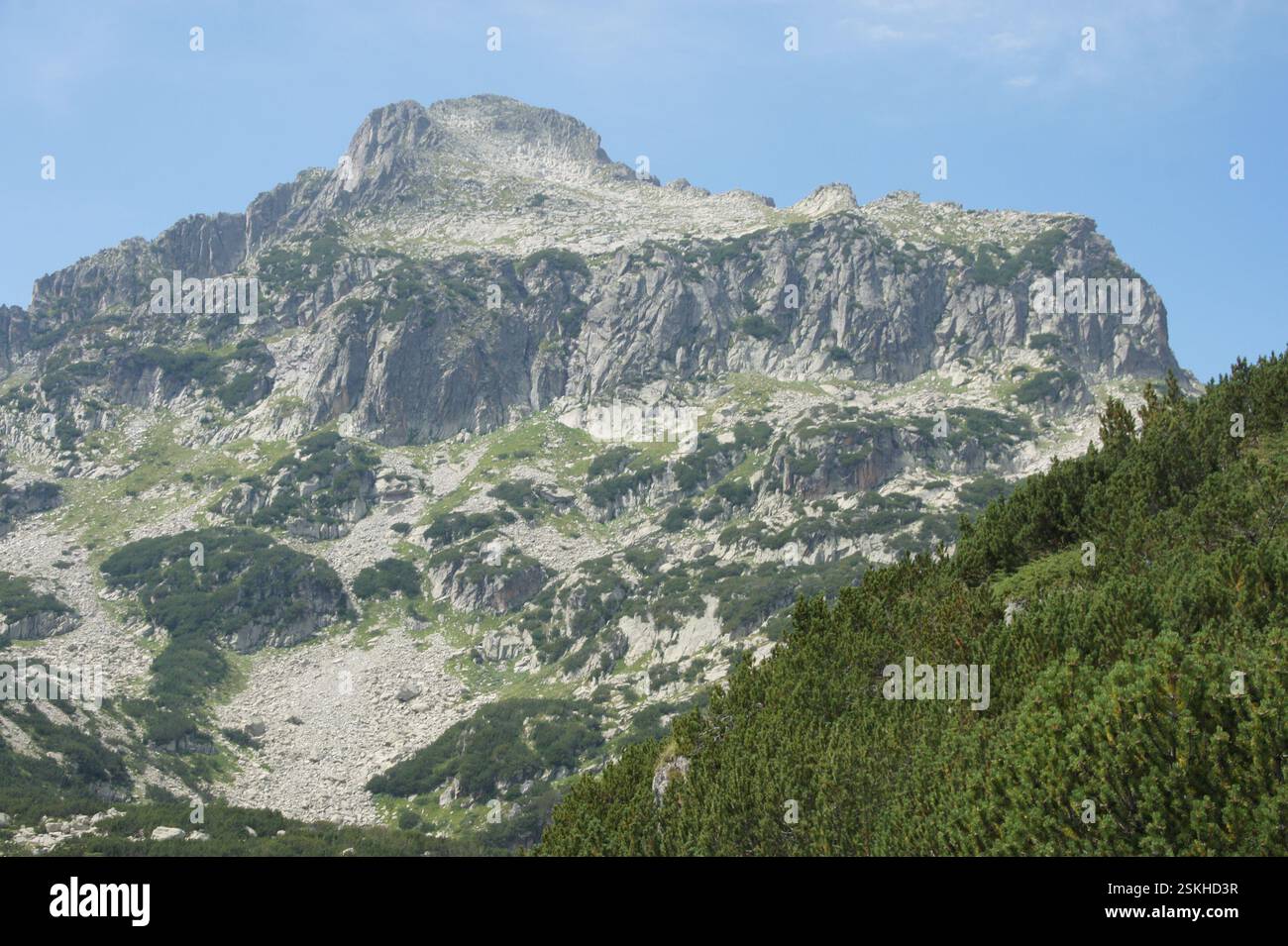 Berg. Zerklüfteter Gipfel mit felsigem Gelände und üppigem Grün. BULGARIEN Symbol für Stärke und Widerstandsfähigkeit. Das Meisterwerk der Natur mit Schönheit und Powder Stockfoto