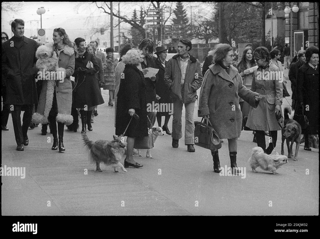 --- Hundehalter; Protest gegen neues Gesetz und höhere Hundesteuer#Hundebesitzer demonstrieren gegen neues Gesetz und höhere Hundegebühren Stockfoto