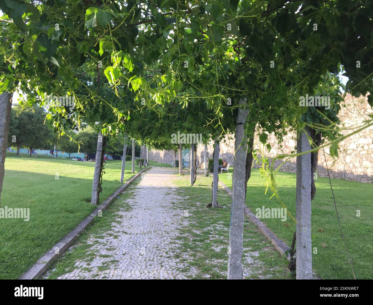 Der Steinweg schlängelt sich durch einen grünen Tunnel und wirft kühlen Schatten. Ruhiger urbaner Zufluchtsort, ideal für gemütliche Spaziergänge. Braga, Portugal, wo Natur ich bin Stockfoto