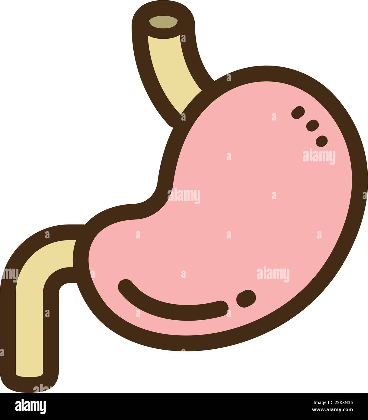 Magenvektor-Kritzelillustration und Grafik. Teil der Kategorie Gesundheit und Arzneimittel. Stock Vektor