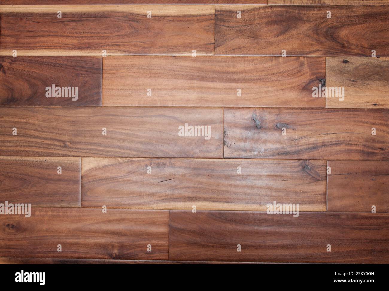 Nahaufnahme eines Holzbodens. Stockfoto
