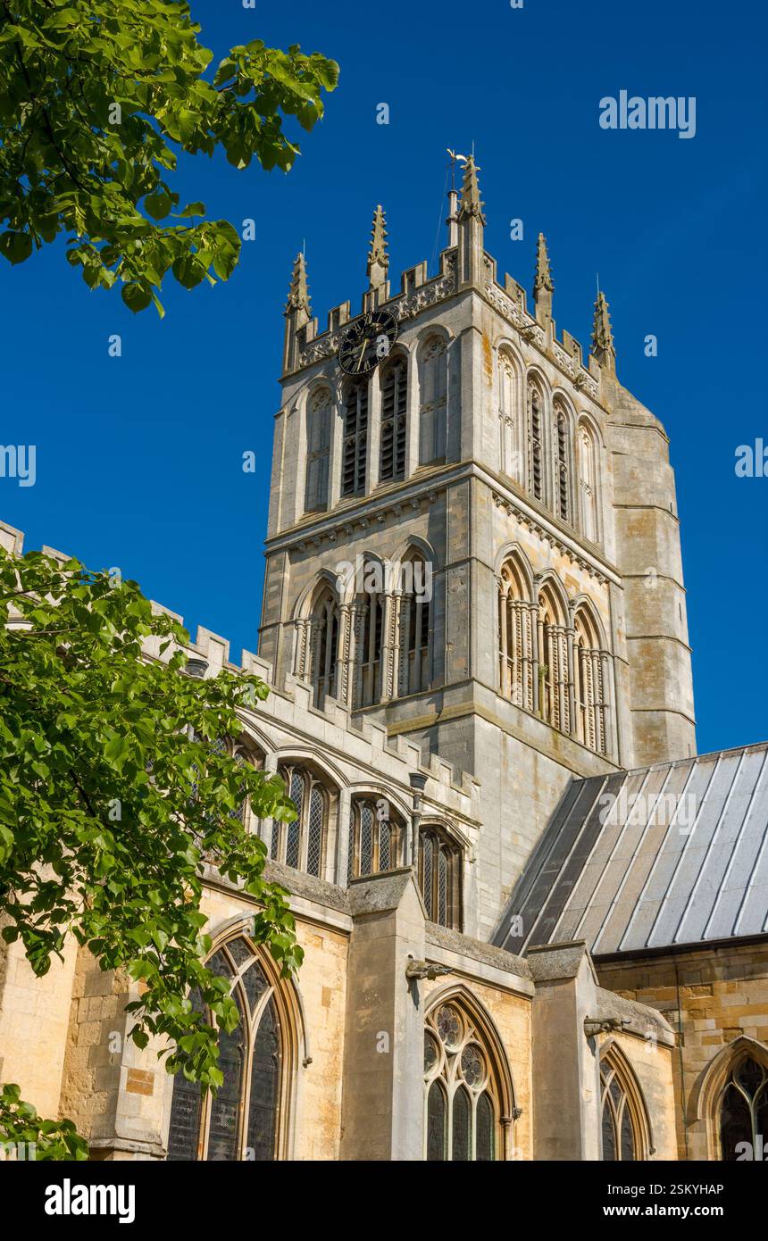 Church Tower of St Mary the Virgin Church, Melton Mowbray, an einem sonnigen Tag im Mai mit blauem Himmel, Leicestershire, England, Großbritannien Stockfoto