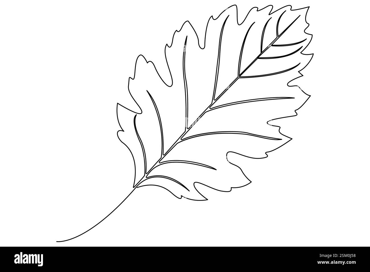 Zeichnung einer durchgehenden Linie des Symbols Leaf Single Line (Einzellinie) Vektorgrafik Stock Vektor