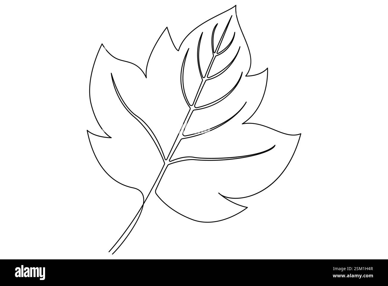 Zeichnung einer durchgehenden Linie des Symbols Leaf Single Line (Einzellinie) Vektorgrafik Stock Vektor