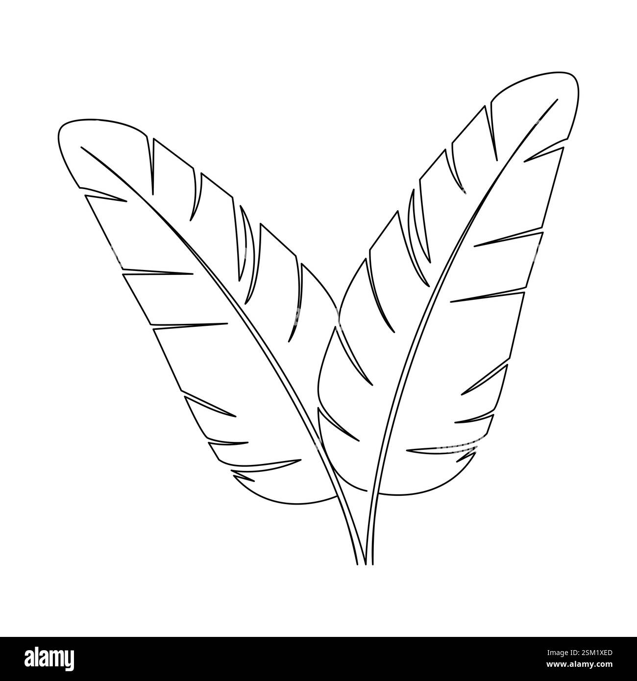 Die einzeilige Kunst der Vogelfeder zeigt die zarte Struktur einer Feder auf wunderschöne Weise und symbolisiert mit einer durchgehenden Linie Freiheit und Anmut Stock Vektor