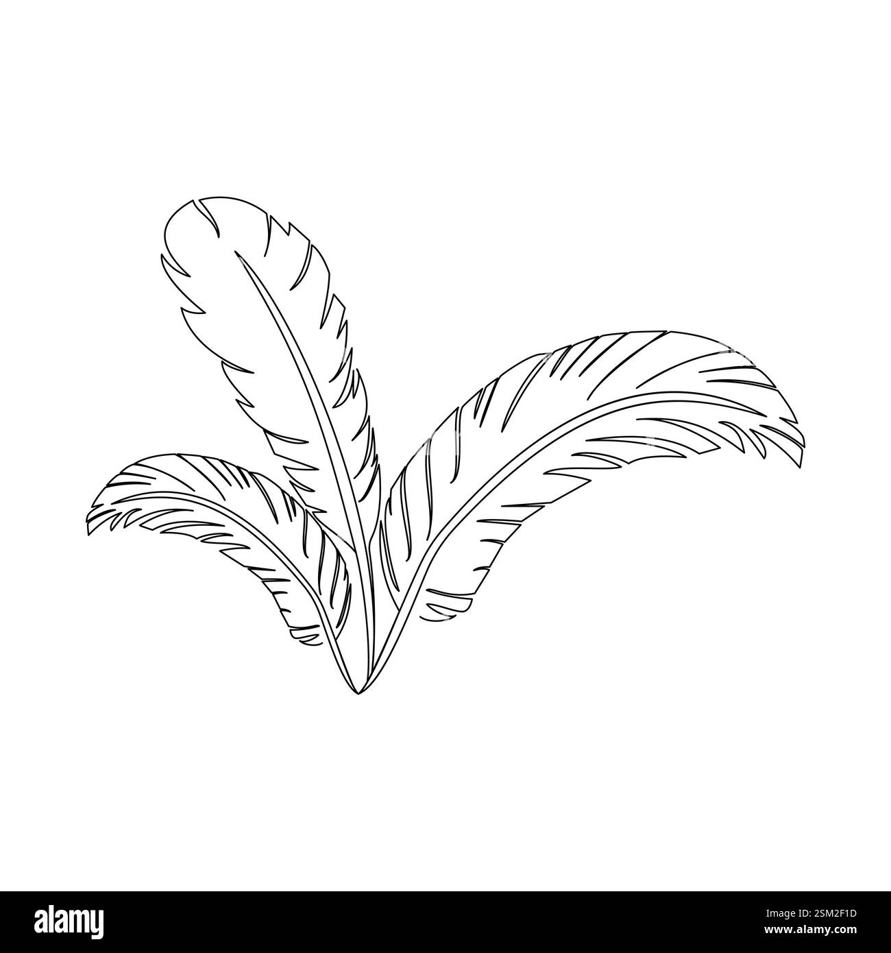 Die einzeilige Kunst der Vogelfeder zeigt die zarte Struktur einer Feder auf wunderschöne Weise und symbolisiert mit einer durchgehenden Linie Freiheit und Anmut Stock Vektor