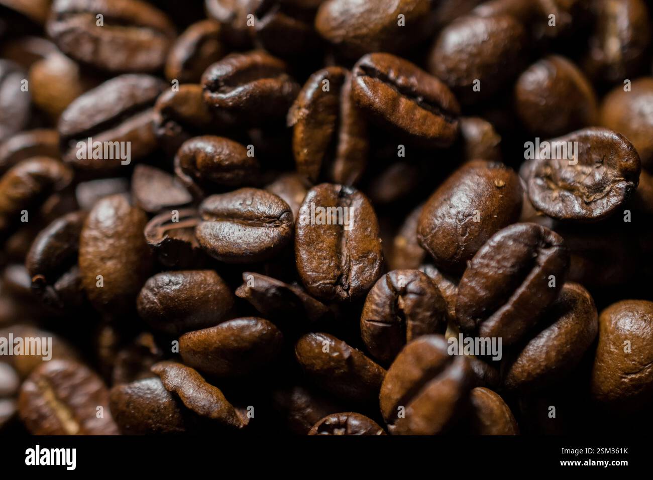 Das Bild zeigt die komplizierten Texturen und natürlichen Variationen der Bohnen und betont ihre Frische und Tiefe. Stockfoto