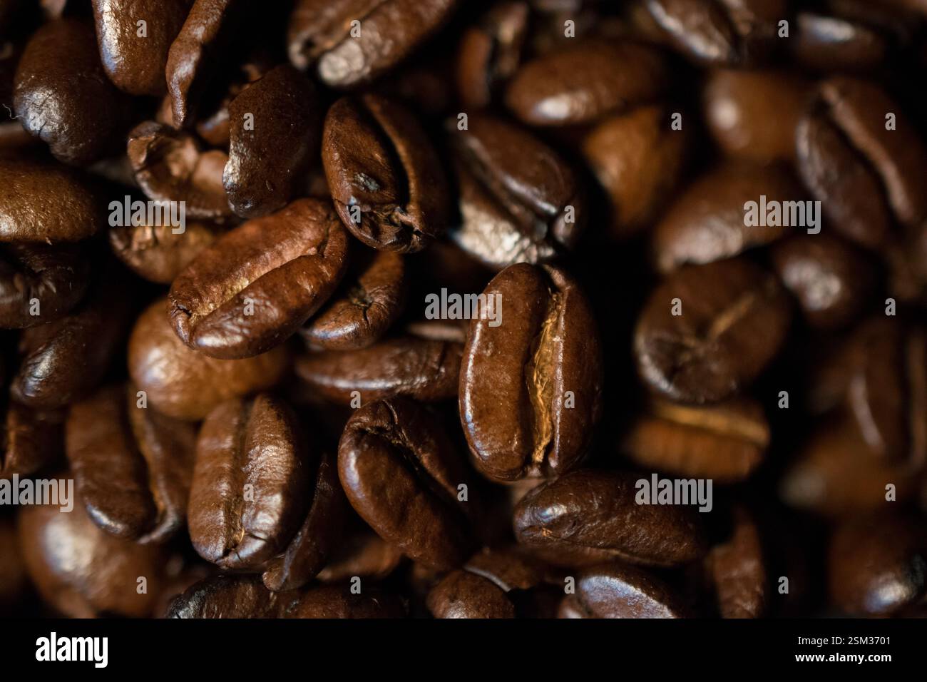 Das Bild zeigt die komplizierten Texturen und natürlichen Variationen der Bohnen und betont ihre Frische und Tiefe. Stockfoto