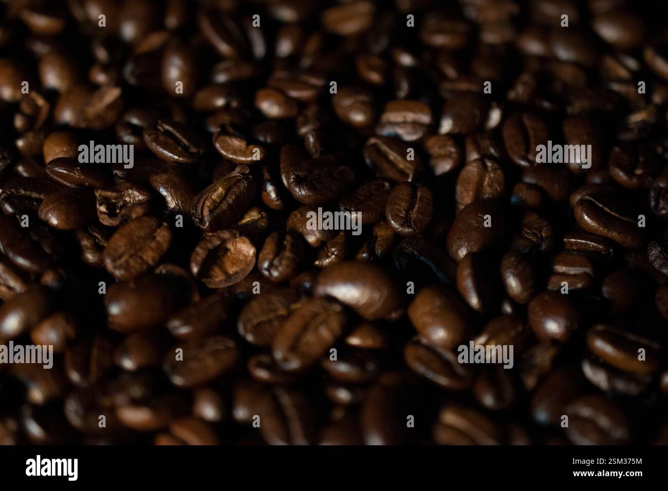 Das Bild zeigt die komplizierten Texturen und natürlichen Variationen der Bohnen und betont ihre Frische und Tiefe. Stockfoto