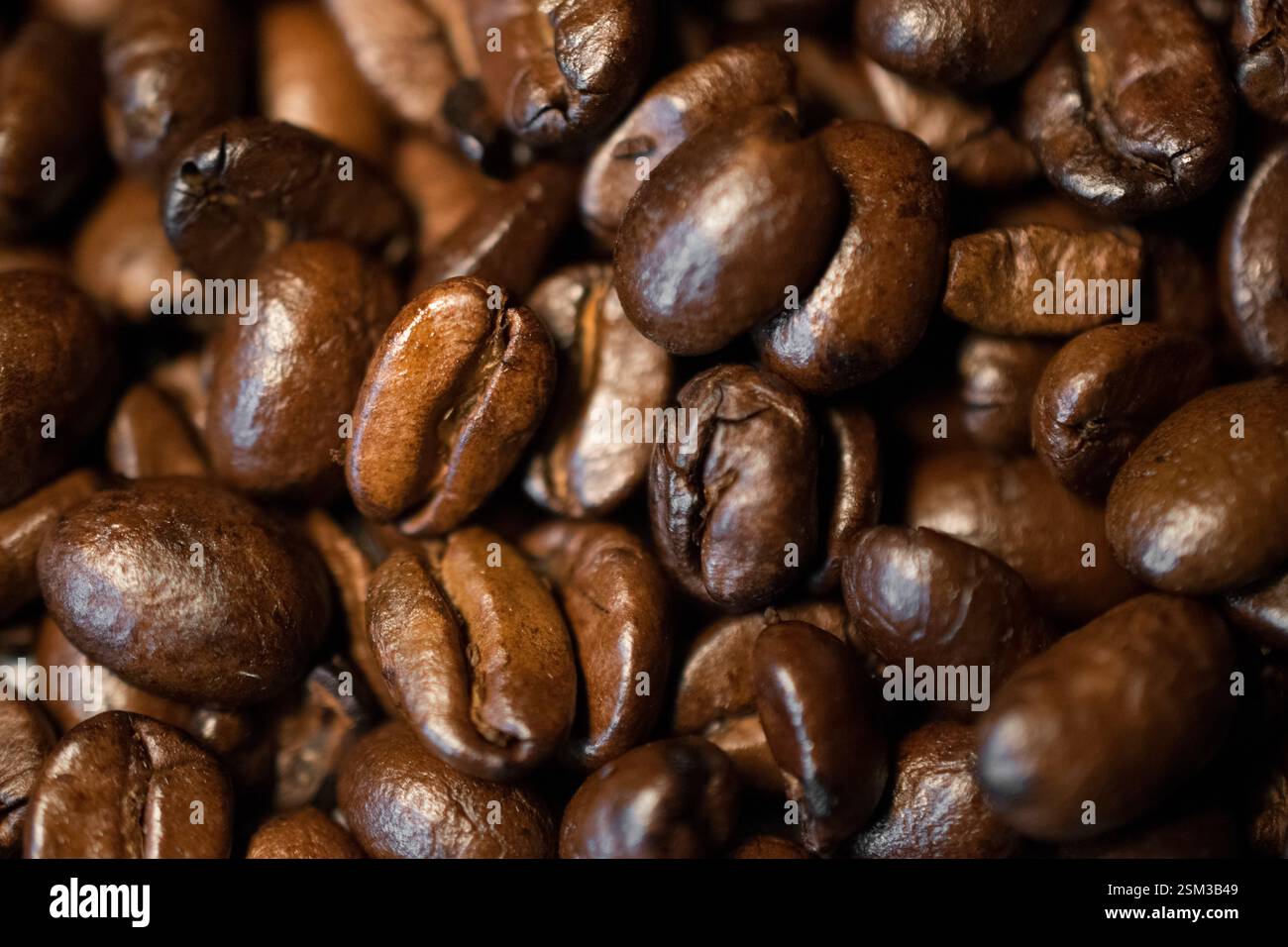 Makroaufnahme aus gerösteten Kaffeebohnen mit satten, dunkelbraunen Tönen und glänzenden Texturen. Perfekt für Kaffee-Branding, Café-Aktionen oder Getränke Stockfoto