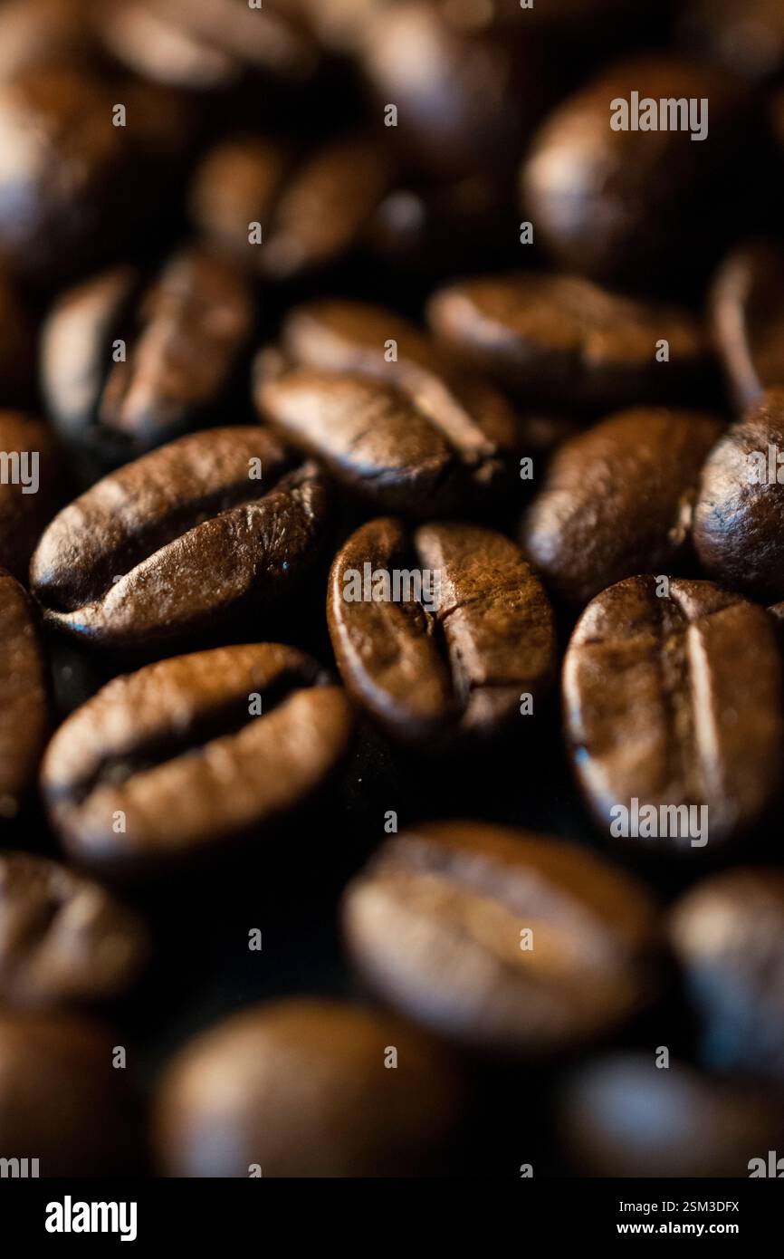 Makroaufnahme aus gerösteten Kaffeebohnen mit satten, dunkelbraunen Tönen und glänzenden Texturen. Perfekt für Kaffee-Branding, Café-Aktionen oder Getränke Stockfoto
