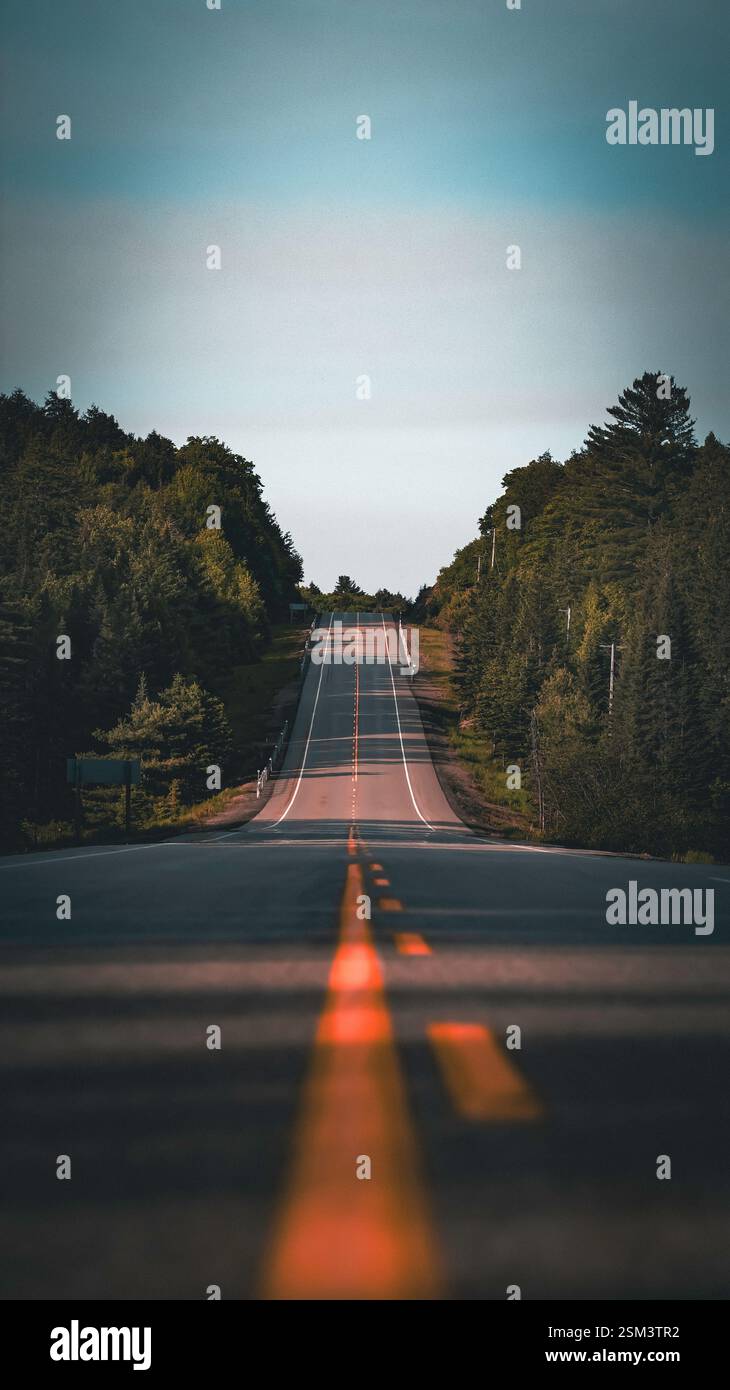 Eine malerische, von Bäumen gesäumte Straße im Algonquin Provincial Park, Ontario, Kanada, bietet eine friedliche und malerische Fahrt durch die Wildnis. Stockfoto
