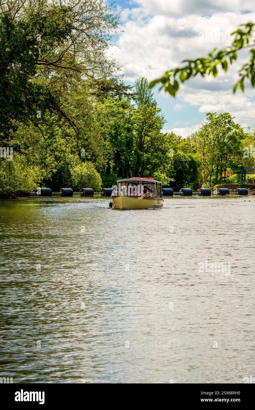 Malerische Bootsfahrt auf dem Fluss Avon, umgeben von üppigem Grün und ruhigem Wasser unter einem bewölkten blauen Himmel Stockfoto