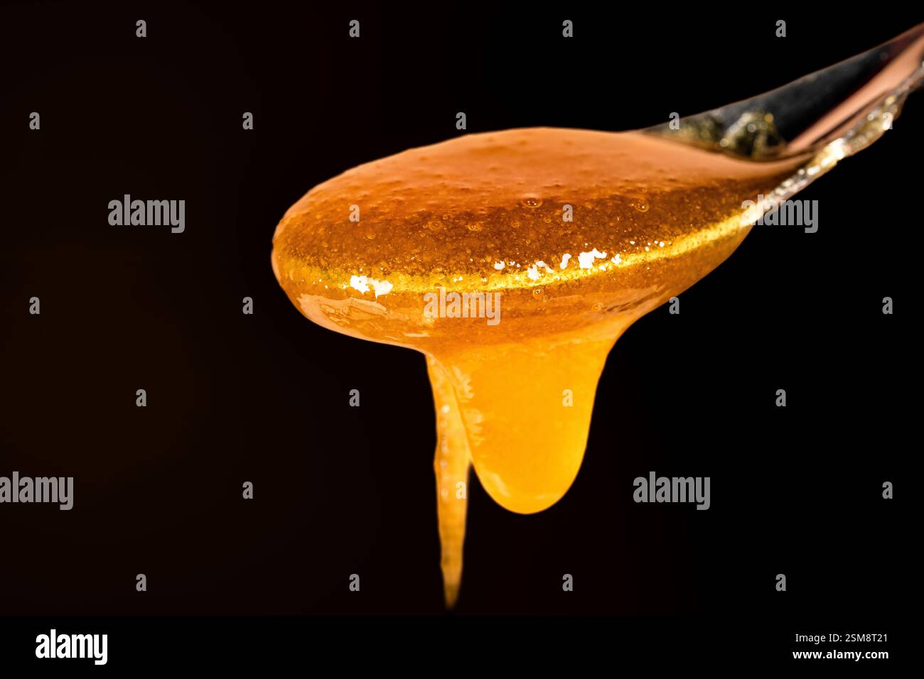 Manuka Honig tropft von einem Löffel in einem Golden Amber Flow vor einem schwarzen Hintergrund, der seine reiche Textur und seinen Glanz unterstreicht Stockfoto