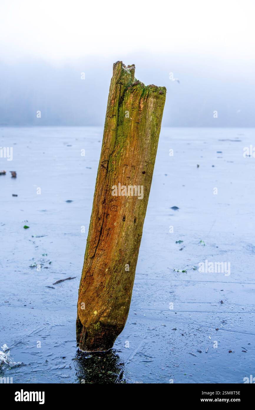 Verwitterter Holzpfosten in einem gefrorenen See mit nebeliger Kulisse – Eine Wintergeschichte von Einsamkeit und Stille Stockfoto