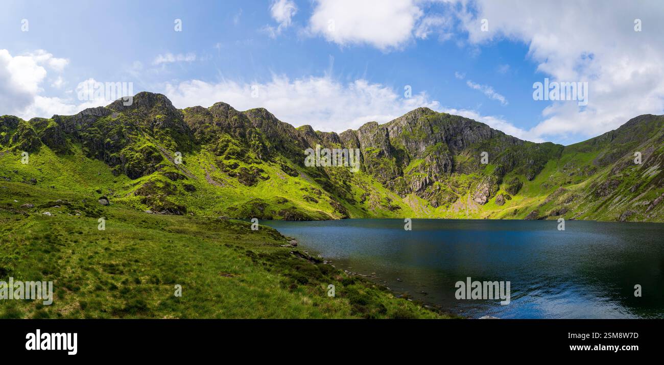 Lebendige grüne Hänge und zerklüftete Gipfel von Penygader (Cadair Idris) spiegeln die schroffe Schönheit von Llyn Cau im Snowdonia-Nationalpark wider Stockfoto