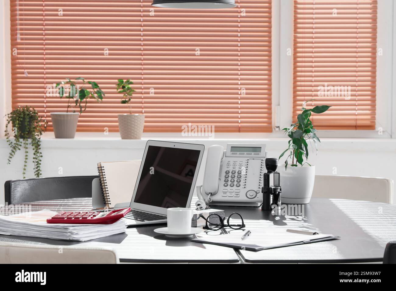 Laptop mit Kaffeetasse, Telefon und Pflanze auf Tisch im Büro Stockfoto