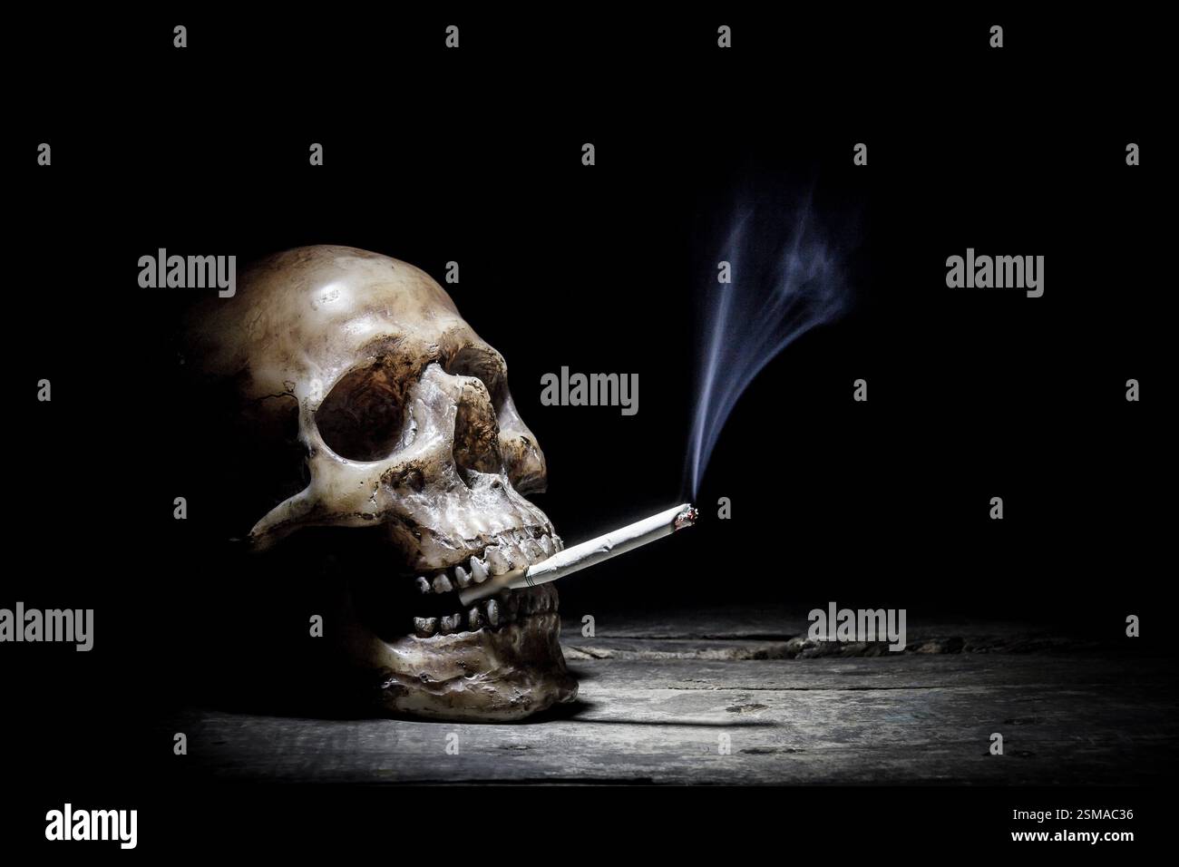 Stillleben mit menschlichem Schädel und Zigarettenleuten rauchen Zigarettenkonzept Stockfoto