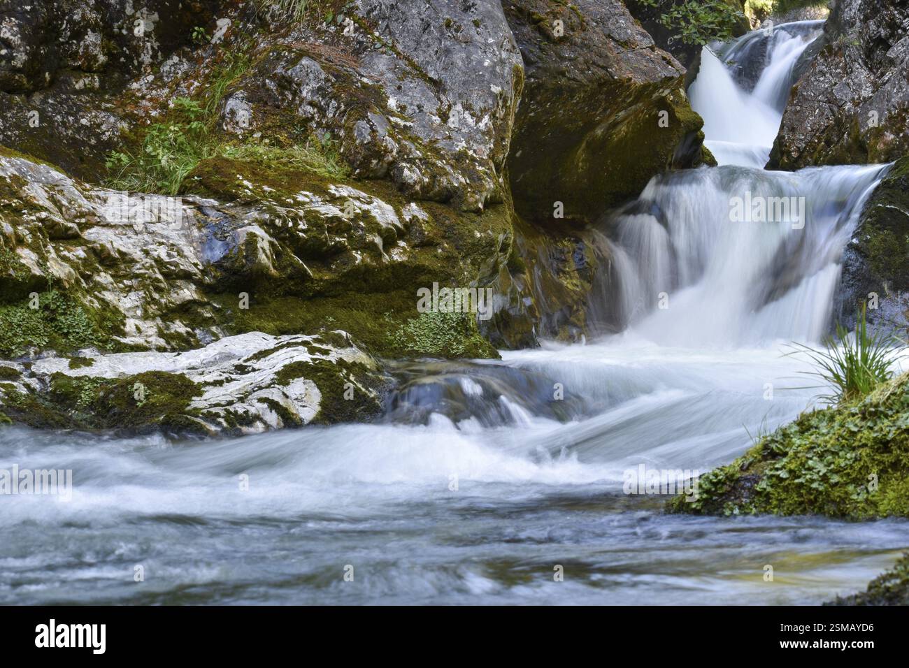 Gebirgsbach mit kleinen Wasserfällen in der Weissbachschlucht in den Chiemgauer Alpen, Bayern, Deutschland, Europa Stockfoto