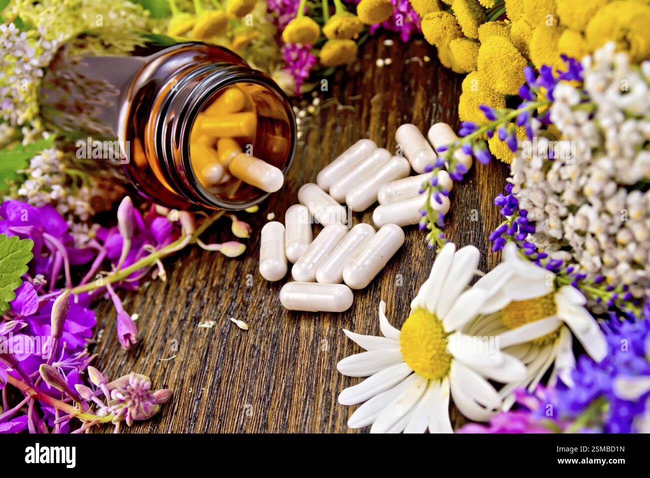 Kapseln in einem braunen Glas und auf dem Tisch, frische Blumen von fireweed, tansy, Kamille, Klee, Schafgarbe, Mädesüß, Minzblätter auf einem Hintergrund von Wolle Stockfoto